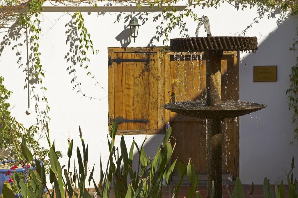 Yellow Aloe Clanwilliam Εξωτερικό φωτογραφία